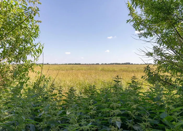 Wattlaeufer * Nordstrand